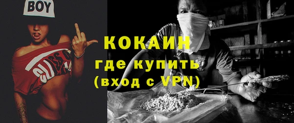 молекула духа Богданович