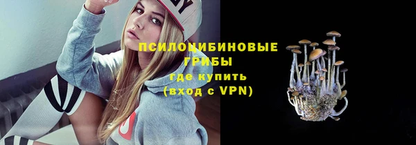 дживик Богородицк