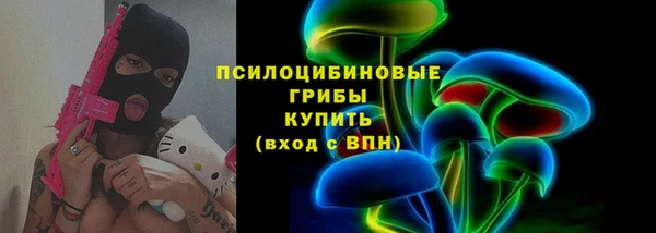 дживик Богородицк