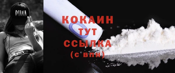 молекула духа Богданович