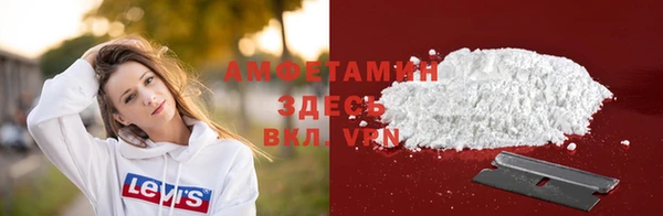 дживик Богородицк