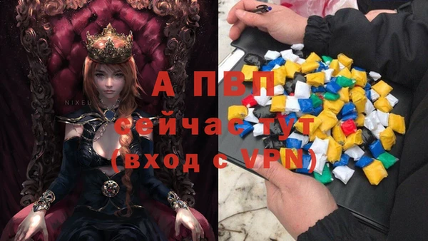 дживик Богородицк