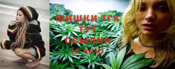дживик Богородицк