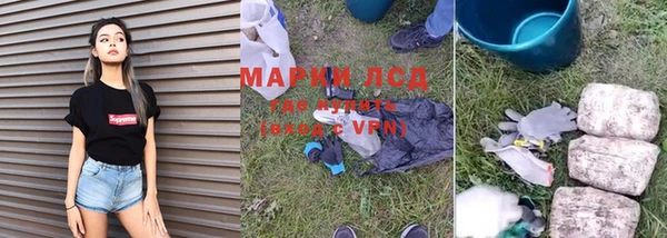 прущие грибы Бронницы