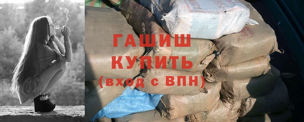 молекула духа Богданович
